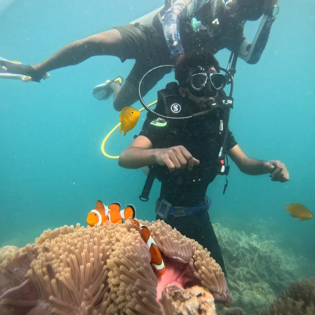 A diver beside a clownfish anemone on the Lighthouse reef, Havelock
