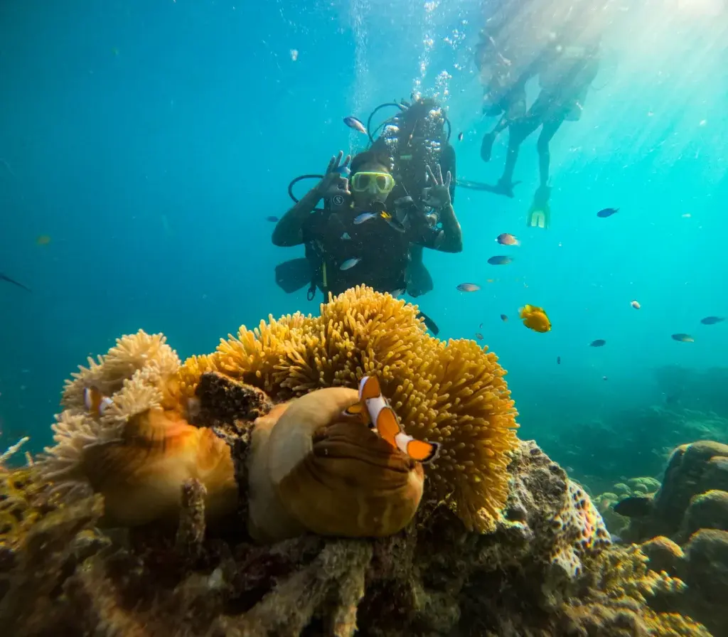 Boat Diving in Red Pillar, Havelock